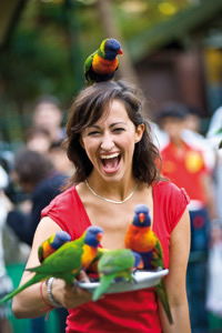 Currumbin Wildlife Sanctuary - Accommodation Sunshine Coast 10