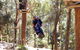 Currumbin Wildlife Sanctuary - thumb 11