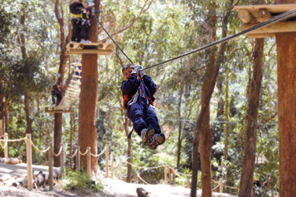 Currumbin Wildlife Sanctuary - Accommodation Sunshine Coast 11