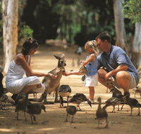 Billabong Sanctuary - Accommodation Sunshine Coast