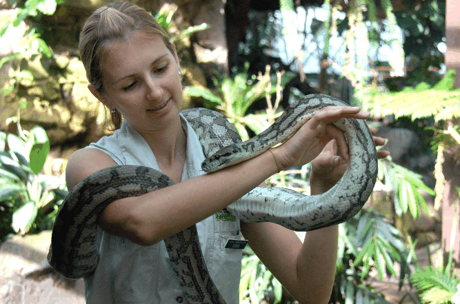 Cairns Wildlife Dome - Accommodation Sunshine Coast 2