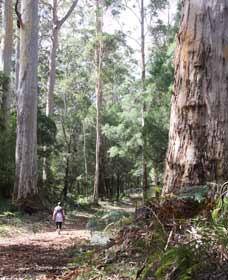  Accommodation Sunshine Coast