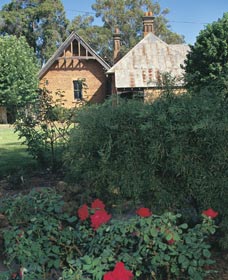 Heritage Rose Garden - Accommodation Sunshine Coast 0