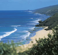 Yallingup Beach - Accommodation Sunshine Coast