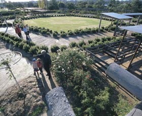 Kojonup Rose Maze - Accommodation Sunshine Coast 0
