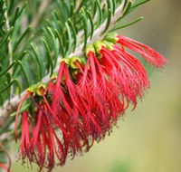 Ethel Daw Scenic Drive - Accommodation Sunshine Coast