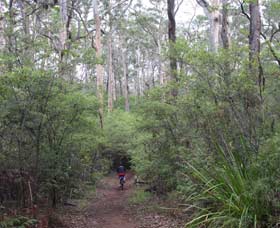  Accommodation Sunshine Coast