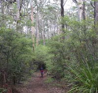 Margaret River Rails Trail - Accommodation Sunshine Coast