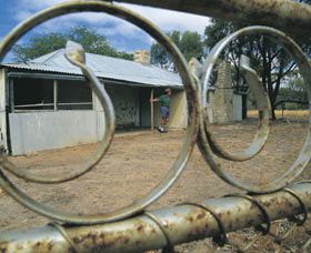 Youndegin - Accommodation Sunshine Coast 0