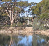 Merredin Railway Dam - Accommodation Sunshine Coast