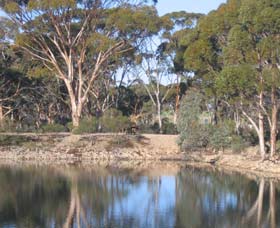 Merredin Railway Dam - Accommodation Sunshine Coast 0