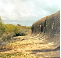 Totadgin Dam Reserve - Accommodation Sunshine Coast