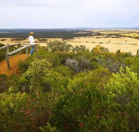 Archer Drive Scenic Drive and Lookout - Accommodation Sunshine Coast