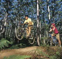 Leeuwin-Naturaliste National Park - Cowaramup - Accommodation Sunshine Coast