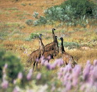 Jurabi Coastal Reserve - Accommodation Sunshine Coast