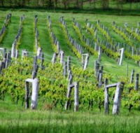 Sienna Estate Winery - Accommodation Sunshine Coast