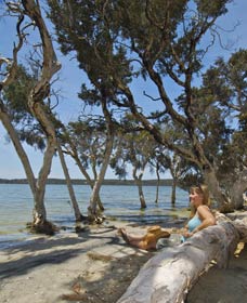 Stokes National Park - Accommodation Sunshine Coast 0