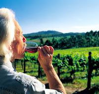 Ashton Hills Vineyard - Accommodation Sunshine Coast