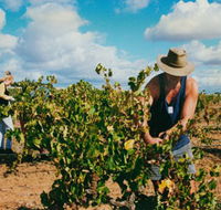 Torbreck Vintners - Accommodation Sunshine Coast