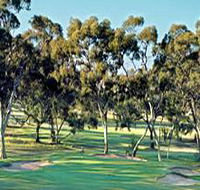 Tanunda Pines Golf Club - Accommodation Sunshine Coast