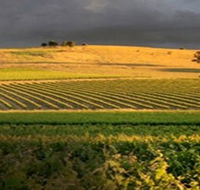 Kellermeister Wines - Accommodation Sunshine Coast