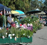 Meadows Monthly Market - Accommodation Sunshine Coast
