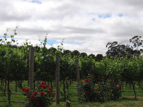  Accommodation Sunshine Coast