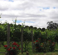Manyara Vineyard - Accommodation Sunshine Coast