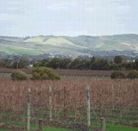 Mclaren Vale Premium Wines - Accommodation Sunshine Coast