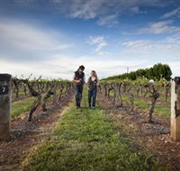 Coonawarra Wineries Walking Trail - Accommodation Sunshine Coast
