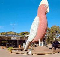 The Big Galah - Accommodation Sunshine Coast