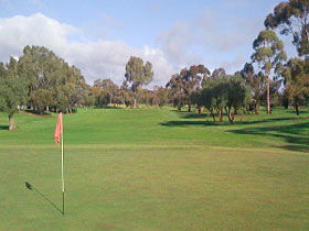 Regency Park Golf Course - Accommodation Sunshine Coast 0