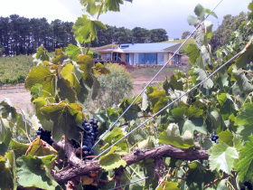 Zimmermann Wine - Accommodation Sunshine Coast 0