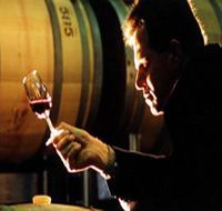 Salena Estate Wines - Accommodation Sunshine Coast