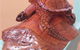 Ants Redgum Gallery - thumb 0