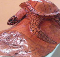 Ants Redgum Gallery - Accommodation Sunshine Coast