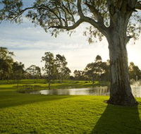 Serafino Wines - Accommodation Sunshine Coast