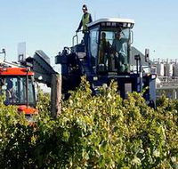Ballast Stone Estate Wines Pty Ltd - Accommodation Sunshine Coast