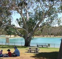 Naracoorte Nature Park and Swimming Lake - Accommodation Sunshine Coast