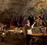 Naracoorte Caves National Park - Accommodation Sunshine Coast