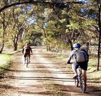 Bike About Mountain Bike Tours And Hire - Accommodation Sunshine Coast