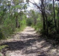 Wendy's Walk - Accommodation Sunshine Coast