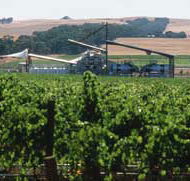 Kirrihill Wines - Accommodation Sunshine Coast