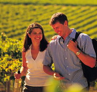 Lady Bay Vineyard - Accommodation Sunshine Coast
