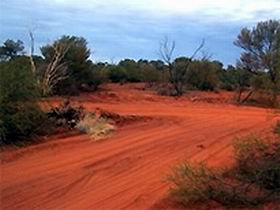 Tallaringa Conservation Park - Accommodation Sunshine Coast 0