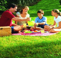 Bruny Island Berry Farm - Accommodation Sunshine Coast