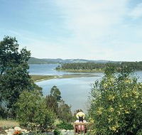 Inverawe Native Gardens - Accommodation Sunshine Coast