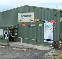 Stanley Seaquarium - Accommodation Sunshine Coast