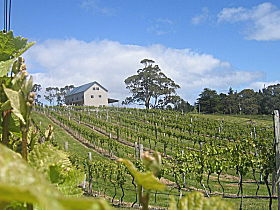 Bruny Island Premium Wines Bar And Grill - Accommodation Sunshine Coast 0