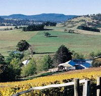 Freycinet Vineyards Pty Ltd - Accommodation Sunshine Coast